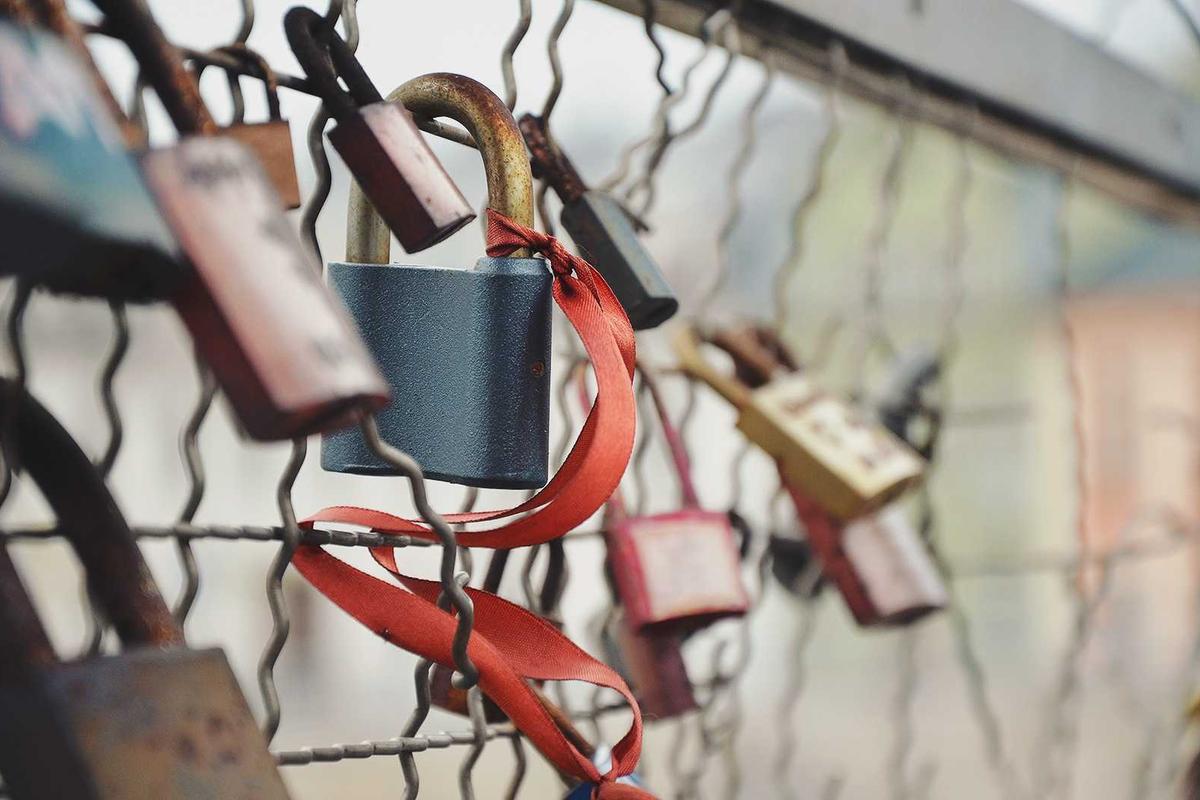 Screensaver tackles spam websites